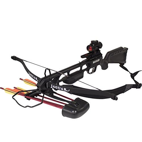 SAS Jaguar 175 lb Recurve from SAS