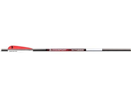 Bloodsport Witness 20-inch from Bloodsport
