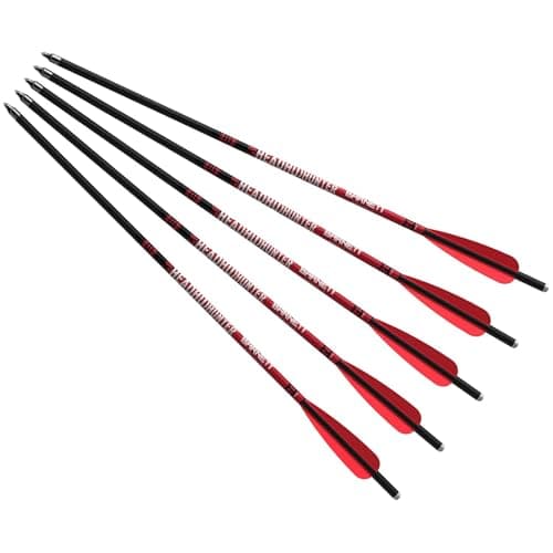 Barnett Headhunter 20-inch from Barnett